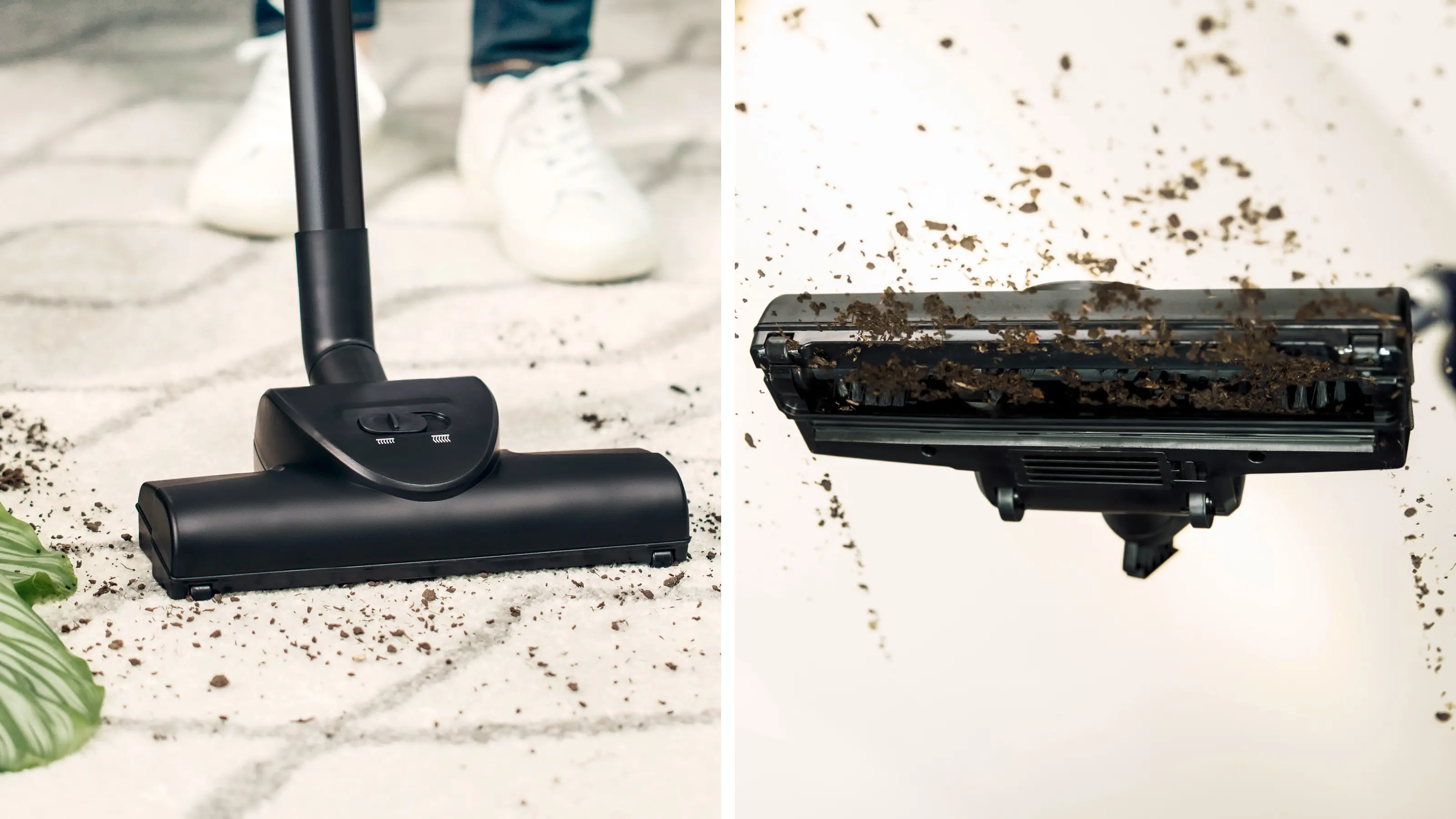 BOSCH BGB38BA3T aspirateur avec sac