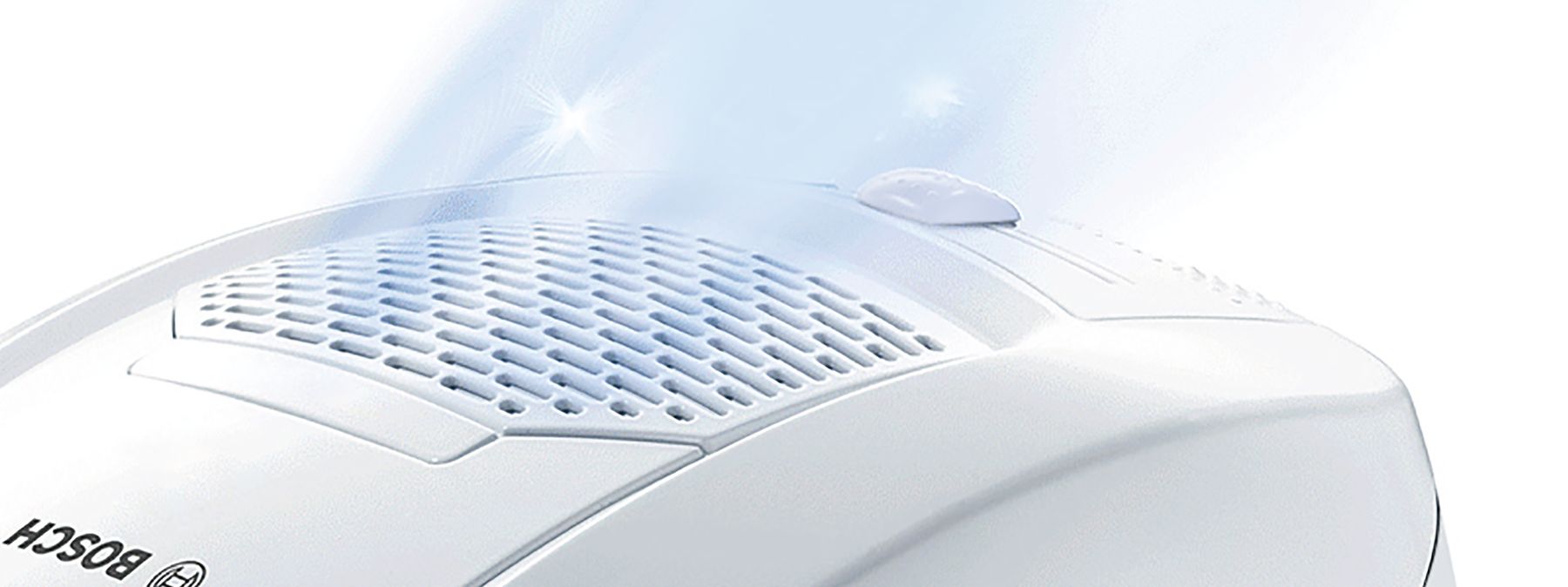 BOSCH BBZ156HF filtre