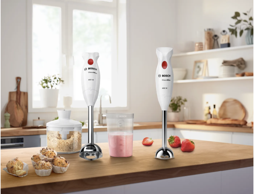 BOSCH MSM24500 CLEVERMIXX mixeur plongeur