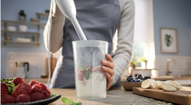 BOSCH MSM14100 CLEVERMIXX mixeur plongeur