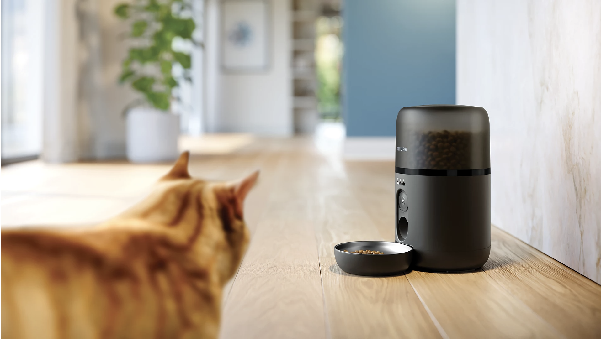 PHILIPS PDPAW5320/02 distributeur de croquettes