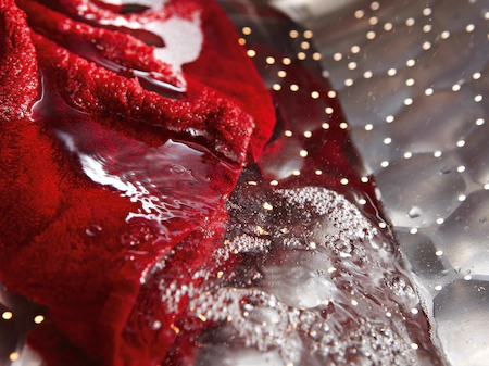 MIELE WTD160WCS STANDARD CHROME EDITION lave-linge séchant