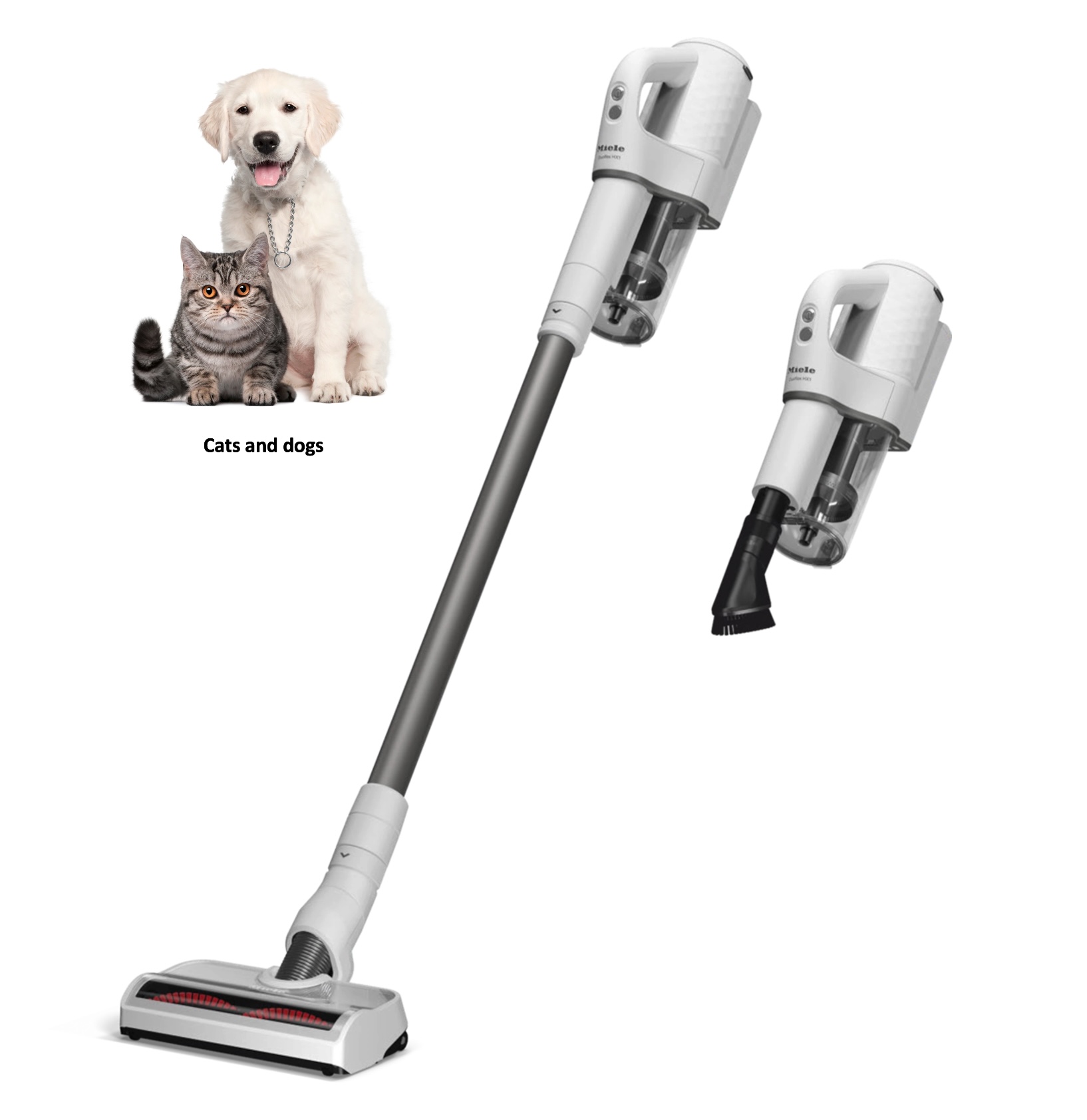 MIELE DUOFLEXHX1EXTRAWIT/WIT DUOFLEX aspirateur balai