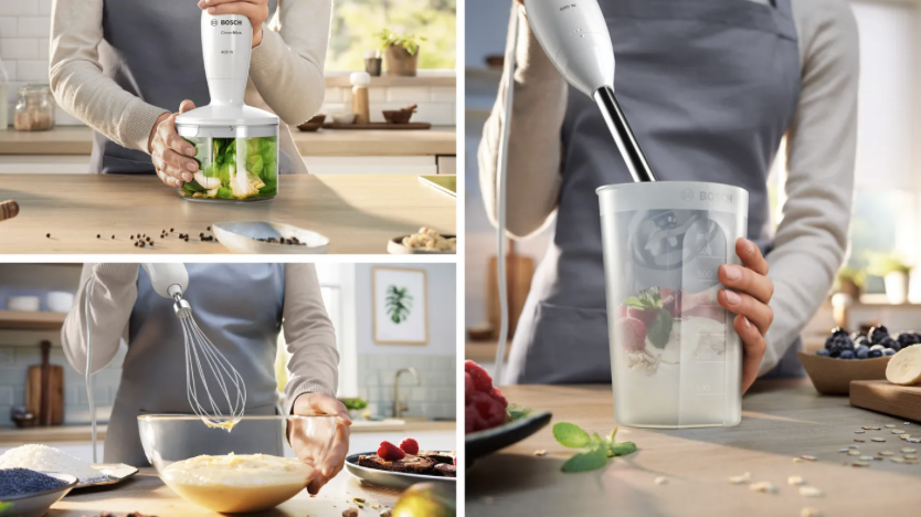 BOSCH MSM24500 CLEVERMIXX mixeur plongeur