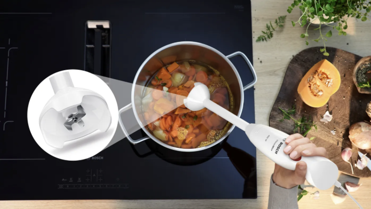 BOSCH MSM14100 CLEVERMIXX mixeur plongeur