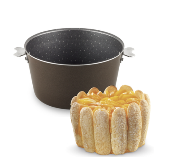 TEFAL J5546402 moule