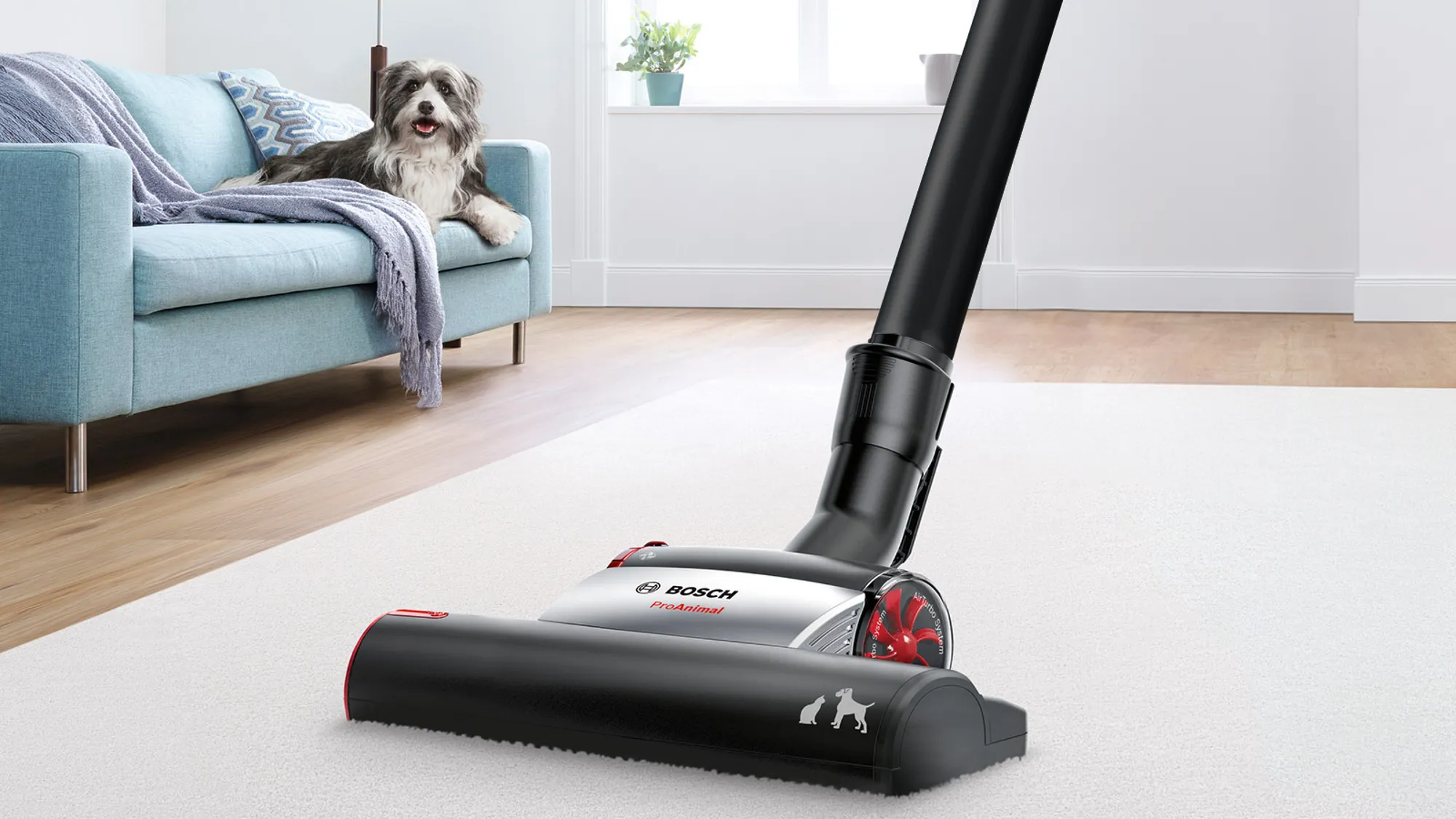 BOSCH BGC41PET aspirateur sans sac