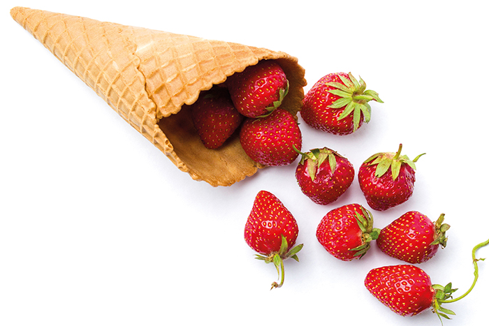 FRITEL 142357 plaque de cuisson