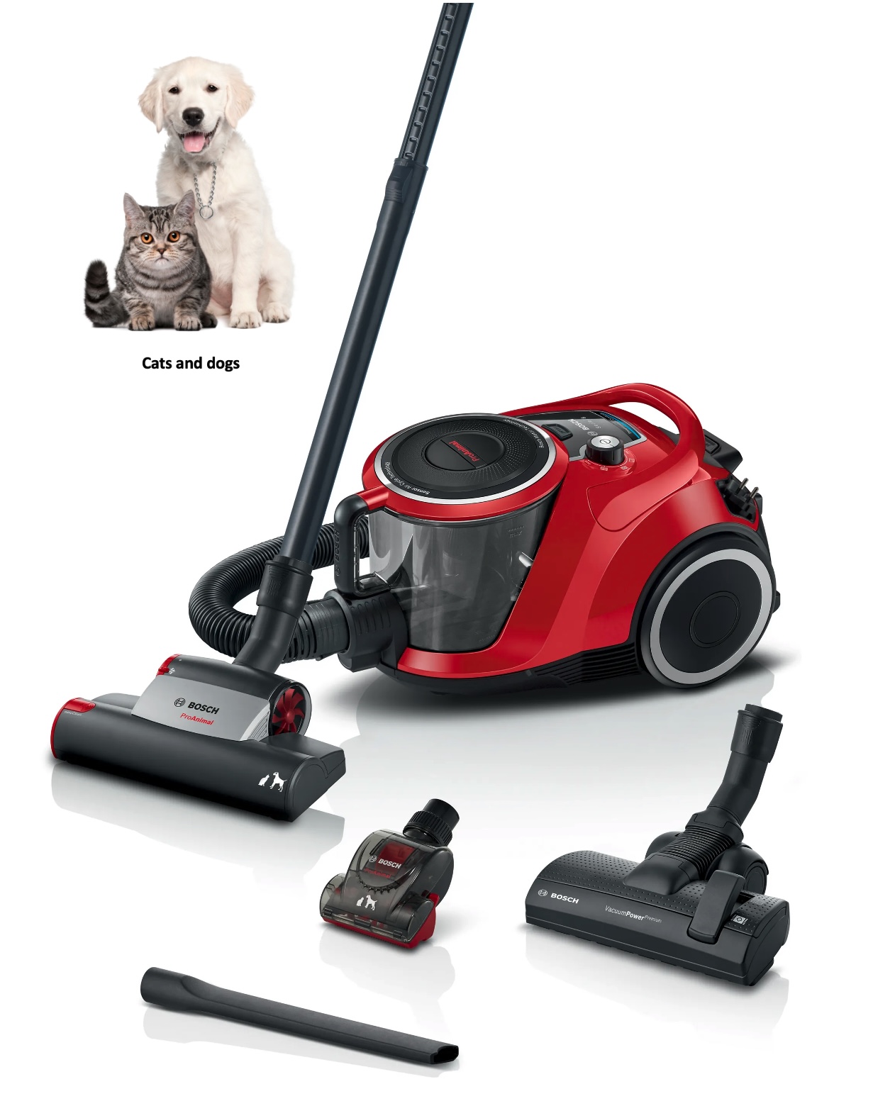 BOSCH BGC41PET aspirateur sans sac