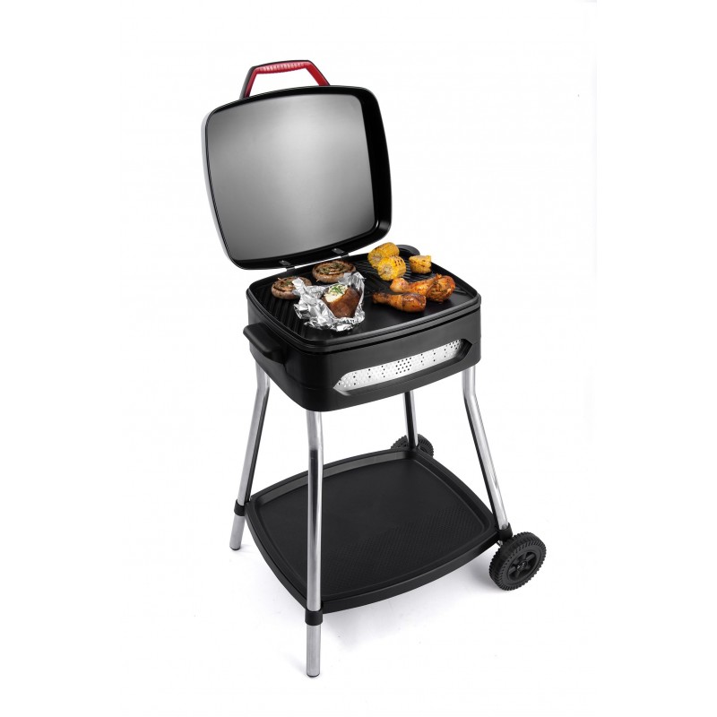 FRITEL 142195 barbecue