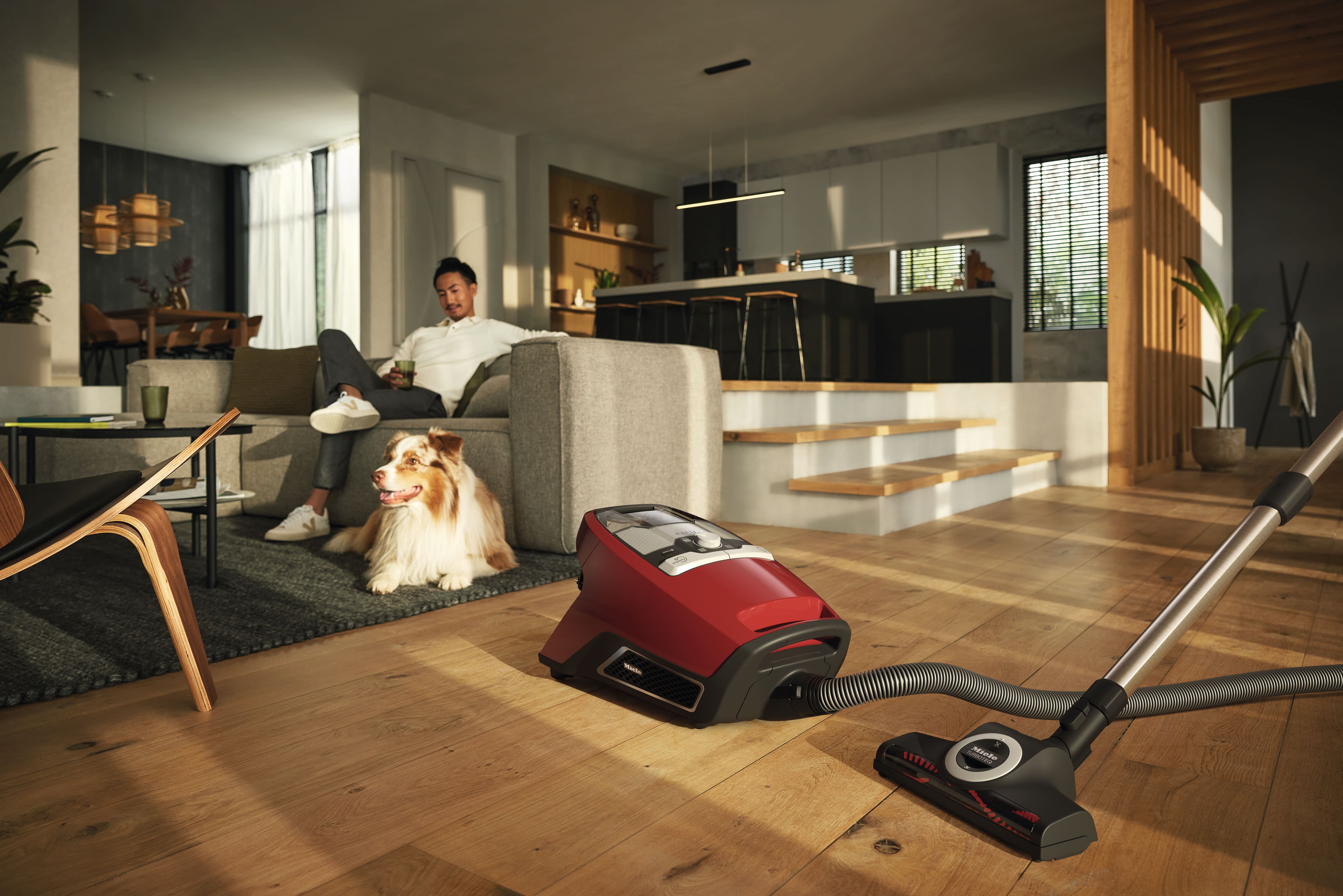 MIELE BLIZZARDCX1CATDOGPOWERLINEMART BLIZZARD aspirateur sans sac