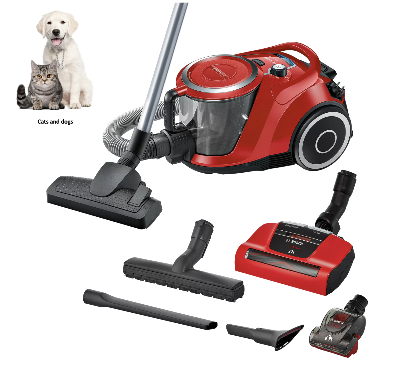 BOSCH BGS41PET1 GS-41 aspirateur sans sac