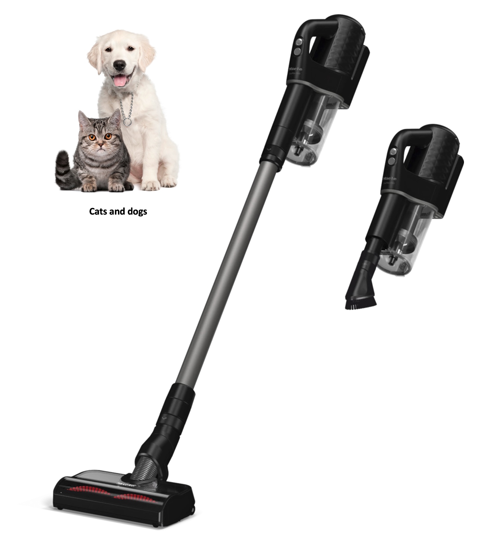 MIELE DUOFLEXHX1CATDOGZWART/ZWART DUOFLEX aspirateur balai