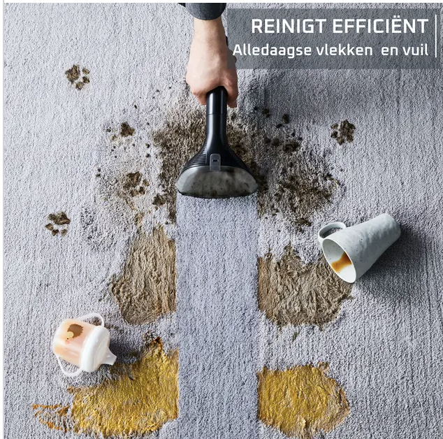 ROWENTA ROIN5011F0 nettoyeur de tapis