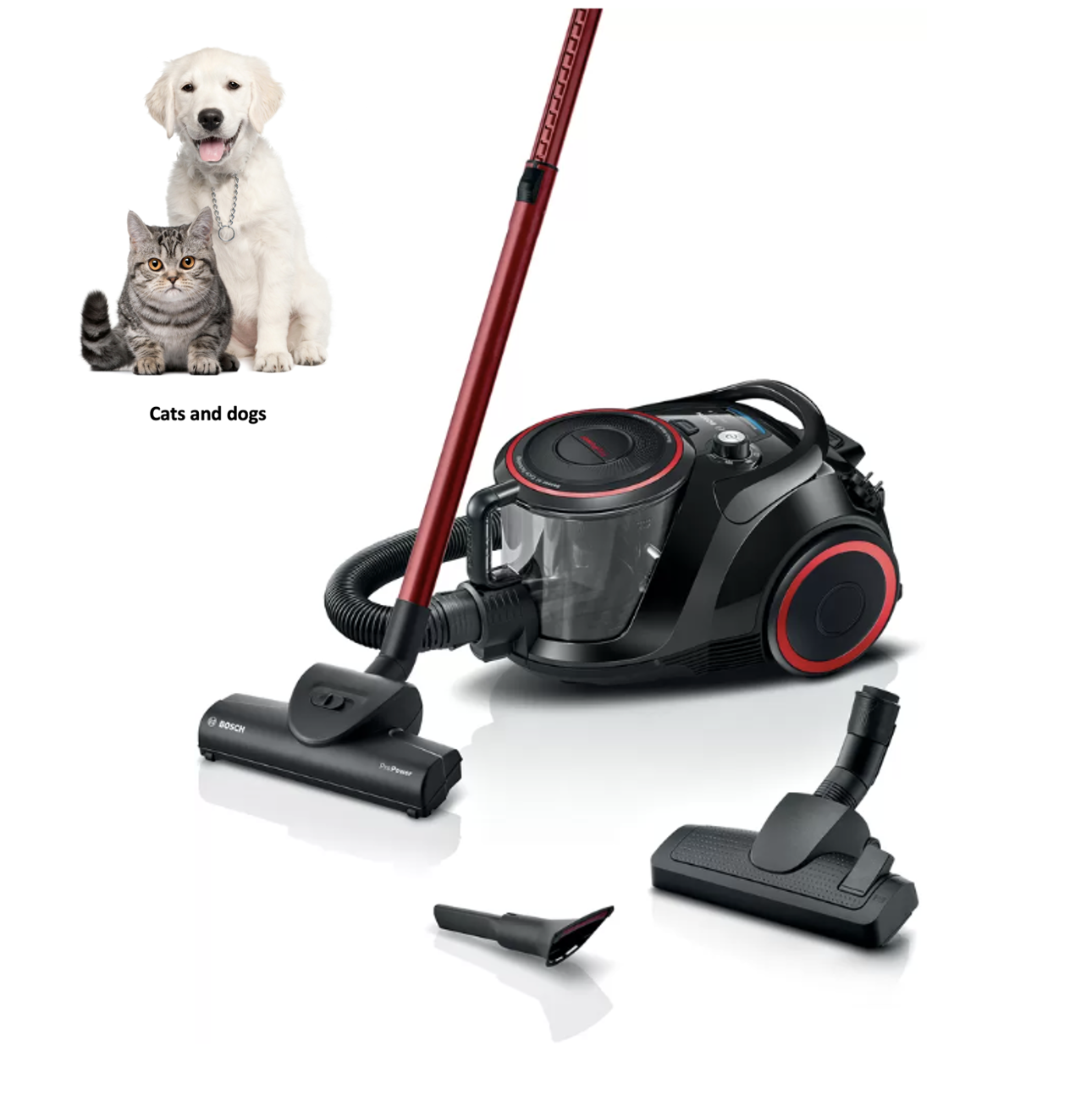 BOSCH BGS41POW2 GS-41 aspirateur sans sac